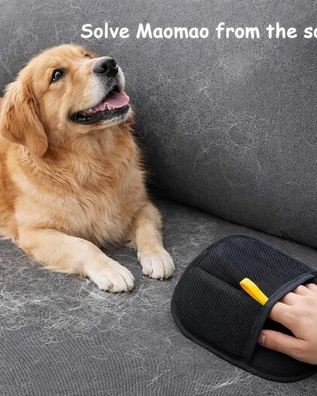 Pet Hair Removal Gloves (Buy One get One Free)